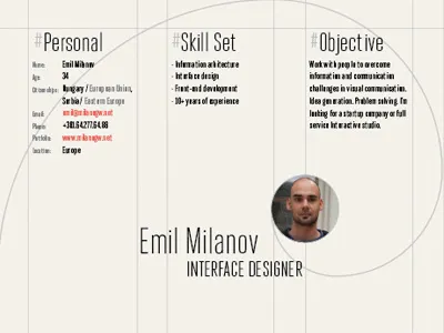 Interface Designer Resume cv resume