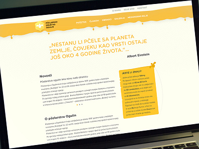 Website for a Beekeeping Association bee honey landing ui warm web website