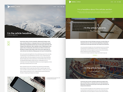 Elastica - Articles article blog copy headline layout mountain overview read read next session text typography