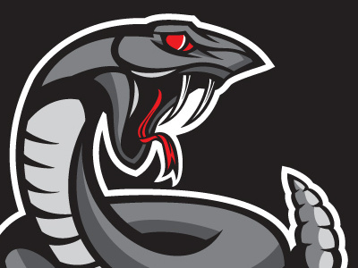 Austin Rattlers Logo afl austin concept design logo nfl texas wordmark