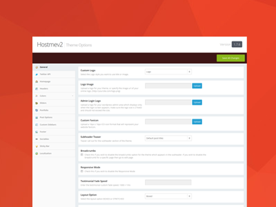 Theme Options Panel UI options framework options panel ui wordpress admin