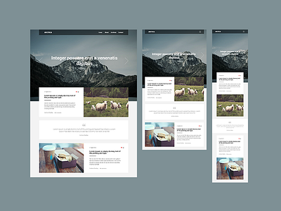 Arctica responsive theme blog responsive theme blog theme design blog travel agency clean elegant design minimal website design mobile tablet desktop personal blog responsive grid layout simple clean layout travel theme ui ux visual interface