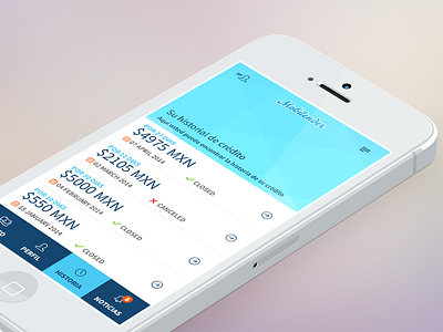 Credit history loan app app cash credit history interface loan mobile simple ui ux