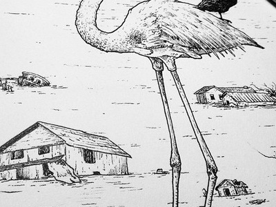 Walk Tall flamingo flood house illustration ink line work wip