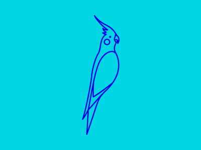 Calopsita bird brand calopsita clothes clothing icon logo