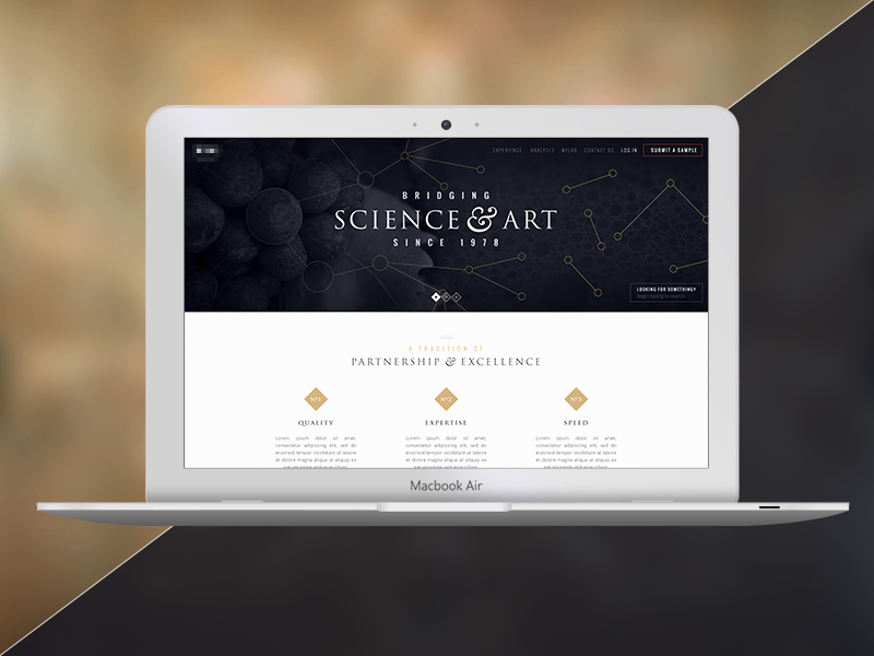 Example of A Luxury Branding Concept