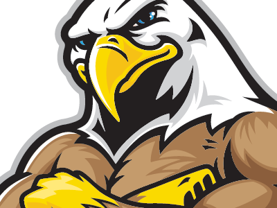 Power Eagle eagle illustration mascot power strength