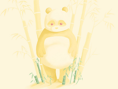 White Panda albinism albino bamboo bear nature outdoors panda white white panda