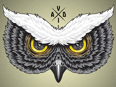 Owl design hd wallpaper illustration illustrator owl pen tool photoshop shapes typography vector vector illustration wallpaper
