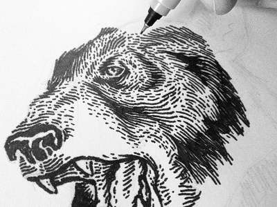 Black Bear Wip bear black drawing illustration ink sharpie sketch wip