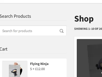 WooCommerce Integration