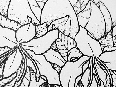Nature Skull WIP black and white drawing flowers illustration ink leaves orange skull wip