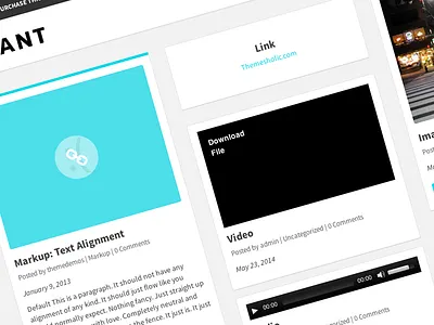 New WordPress Theme