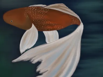 Fish Painting adonit canvas digital digital painting digital portrait drawing ipad painting portrait procreate