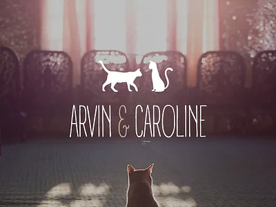 Meow. cat knockout logo silhouette