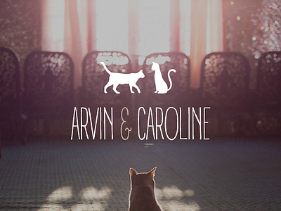 Meow. cat knockout logo silhouette