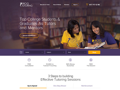 Concept for Frog Tutoring Web Site art direction clean design interactive landing web design