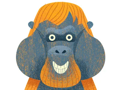 Crocodile Creek- Orangutan orangutan