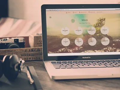 Skills Section On barpaff chart responsive resume skills website