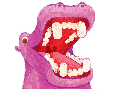 Crocodile Creek- Hippo hippo