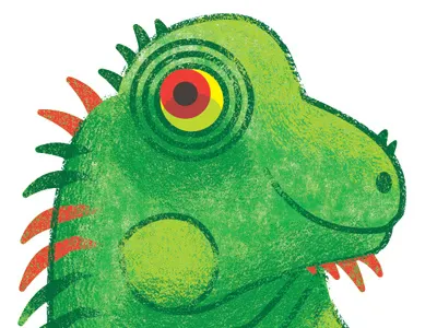 Crocodile Creek- Iguana iguana