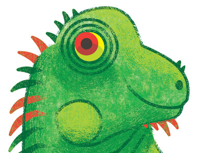 Crocodile Creek- Iguana iguana
