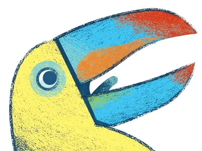 Crocodile Creek- Toucan maraca toucan