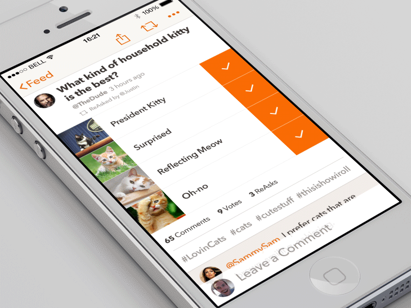 Tap 'n Slide Animations animation cats gif ios7 iphone scroll slide tap ui vote