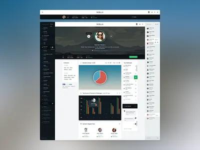 User Profile Page extract game graphs grooveshark music musilla pakistan rdio responsive spotify stats user profile