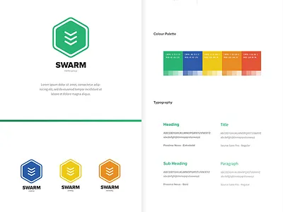 Swarm Brand Guidelines brand brand guidelines branding colour palette logo logo design rebrand swarm typography