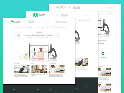 Mock Up chemistry ecology web design