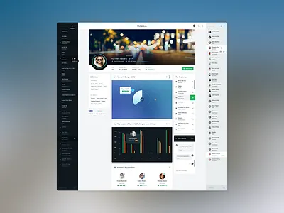 User Profile Page extract game graphs grooveshark music musilla pakistan rdio responsive spotify stats user profile