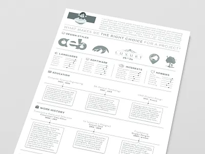 Resume Dribbble curriculum vitae cv illustrator resume