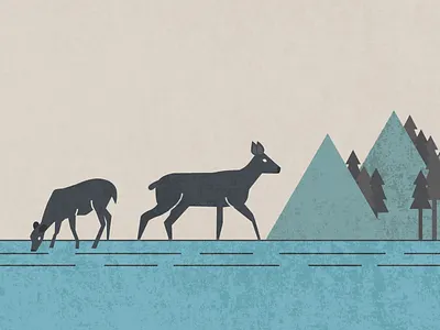 Putting Forests to Work - Infographic detail animals deer doe forest illustration infographic mountain nature texture wildlife woods