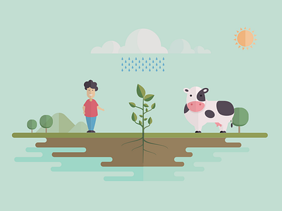 Photosynthesis - Infographic - infographic parallax vector