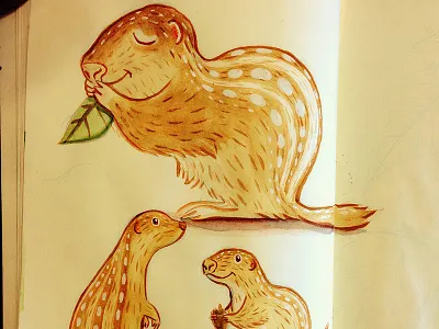 13 Lined Ground Squirrel 13 lined ground squirrel ground squirrel illustration sketchbook watercolor