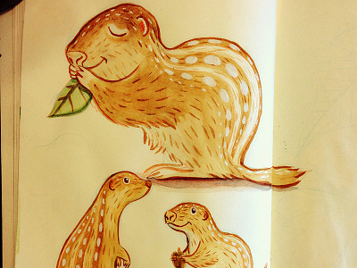 13 Lined Ground Squirrel 13 lined ground squirrel ground squirrel illustration sketchbook watercolor