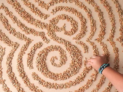 #AtoZoë - S is for Sunflower Seeds alphabet atozoë food sunflower seeds typography