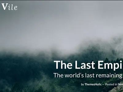 Vile - Unique WordPress Theme for Blogger