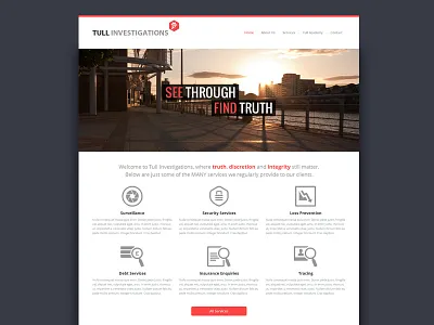 Homepage (WIP) flat homepage interface investigator landing page tull ui web