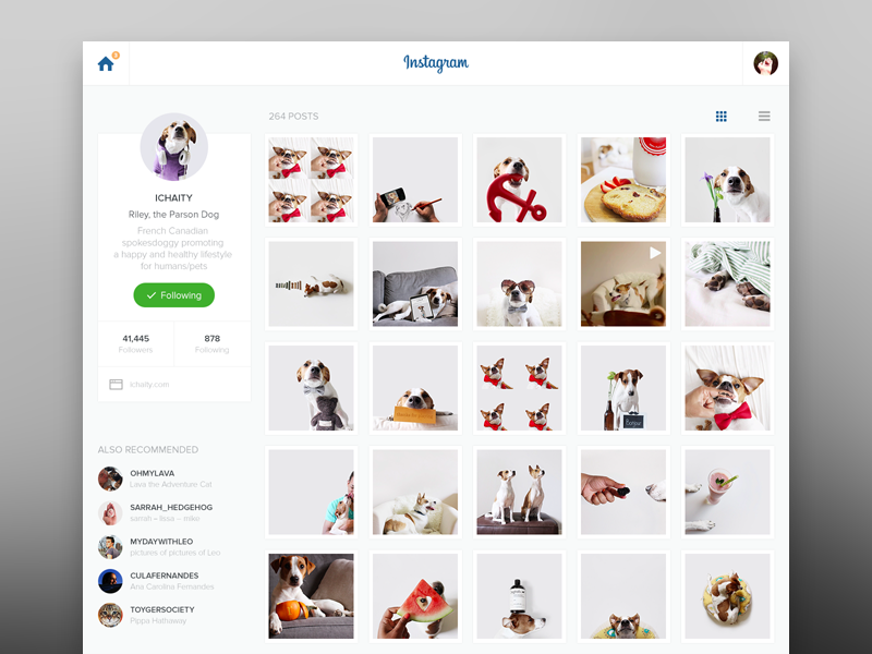 Instagram Redesign by Pavel Knyazev on Dribbble