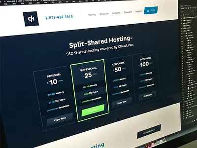 Crucial Pricing branding flat focus lab hosting icons marketing pricing web design website