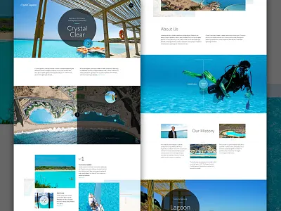 Water World Full design elegant seagulls tourism travel water web white