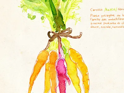 Carrots carrot illustration paint vegetable watercolor