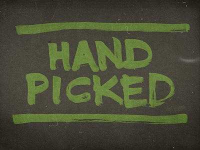 I've been included in Creative Market's handpicked bundle brush pen calligraphy creative market deal design resources hand drawn type the shop type