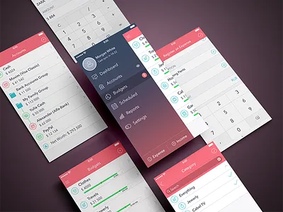 Finance iPhone App app budgets finance ios7 ipad iphone secret ui