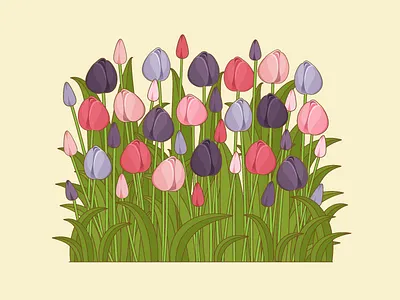Tulips flowers illustration illustrator nature
