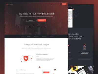 Wunderpass Landing Pages application dashboard features flat design icons landing page mobile single page ui design ux design webdesign