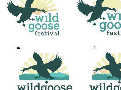 wildgoose fest rebrand round 1! branding festival illustration logo rebrand