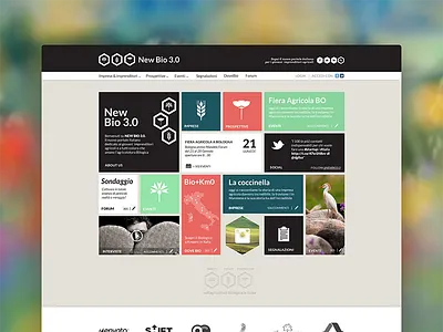 Newbio bio card dashboard responsive ui ux website